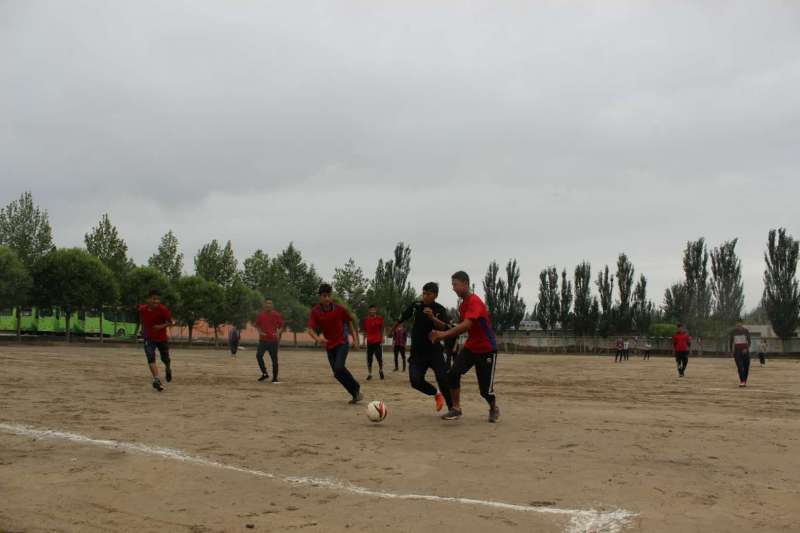依丽兰家具乌鲁木齐旗舰店,乌鲁木齐依丽兰家具旗舰店