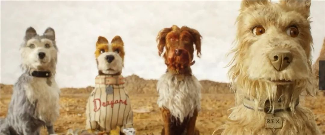 爱狗人士看的电影,爱狗人士必看的6部温情日本电影