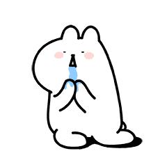 广西一年四季有吃不完的应季水果,广西什么水果便宜又好吃夏天