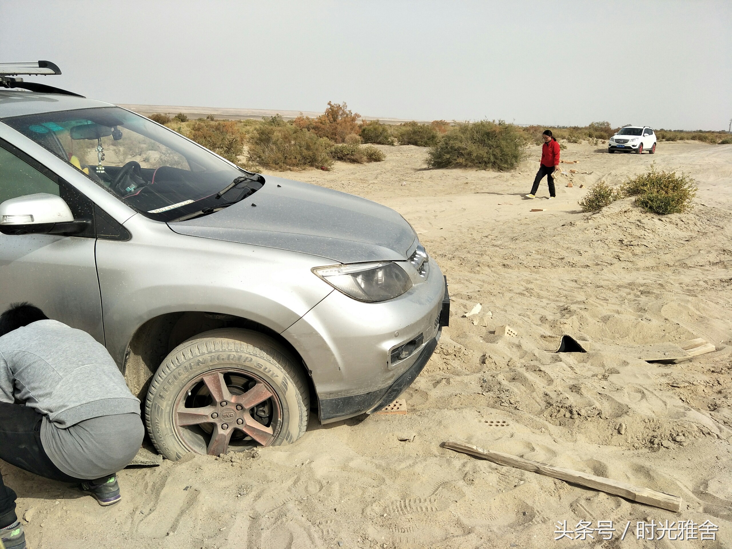 去看胡杨林,想去沙漠里看胡杨林
