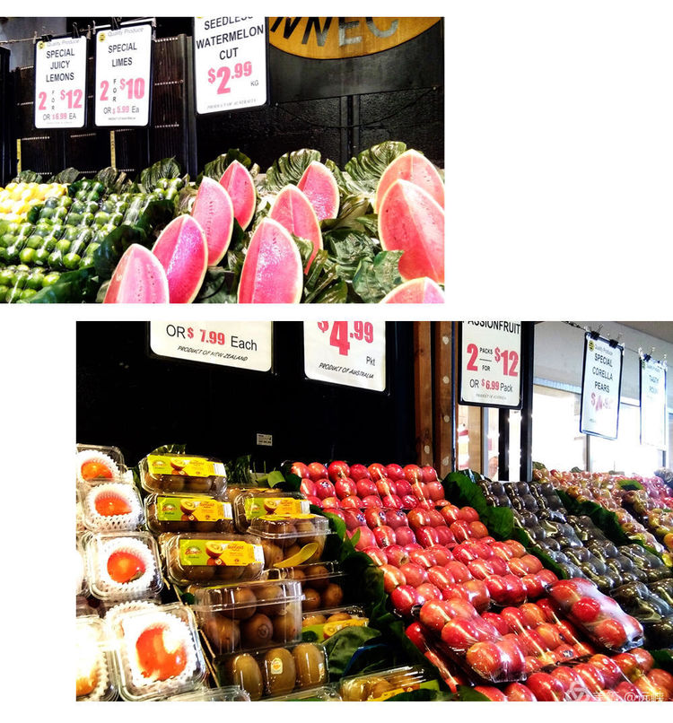 吃货在澳洲｜一边吃药，一边大吃海鲜，自嘲：宁愿疼死，不愿馋死