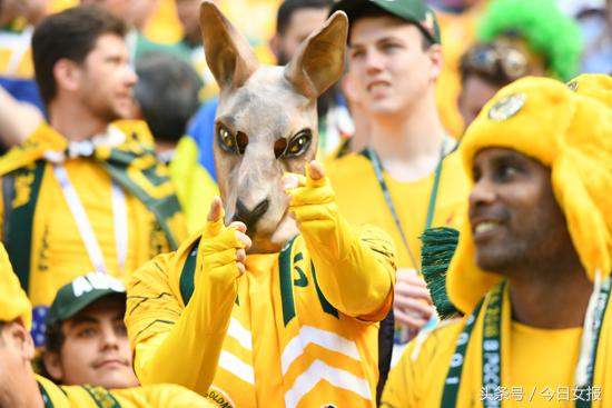 头顶“球场”化“猫”妆，“变相怪杰”满场飞，世界杯球迷谁最强