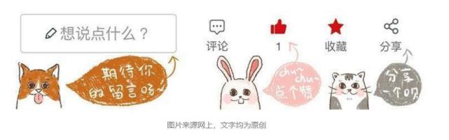 猫咪对主人发狠攻击状态怎么办,猫咪对主人发狠攻击可以打吗