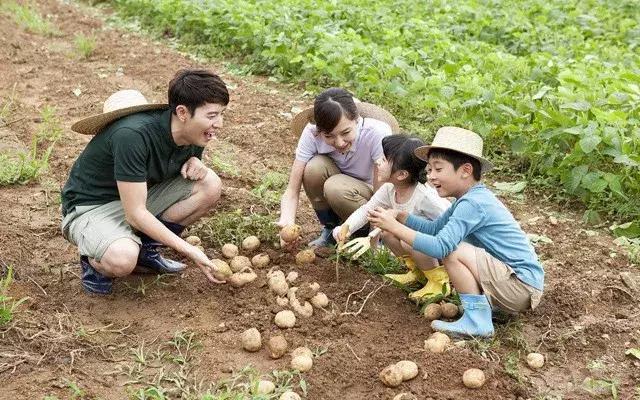 农民怎样申请农业家庭农场,农业合作社家庭农场申报项目