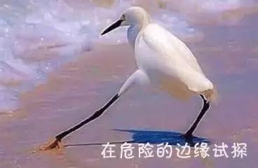 戒吃手神器管用吧,戒吃手的办法