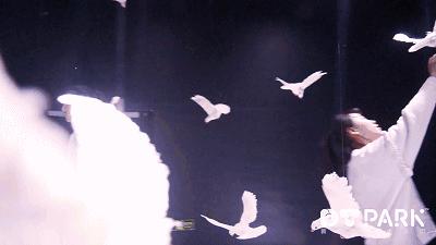 数虎图像荣获“2018第三届创·爱丁堡国际创新大赛一等奖企业”