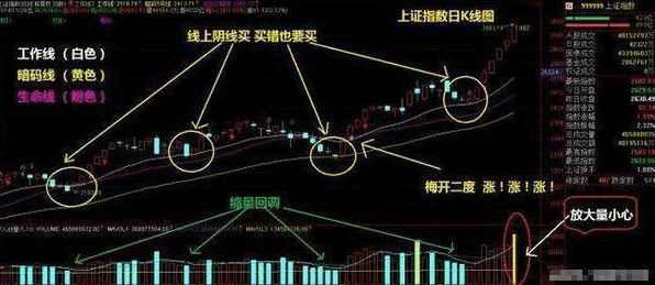 股市连续几年亏损退市,股市连续亏损几年退市