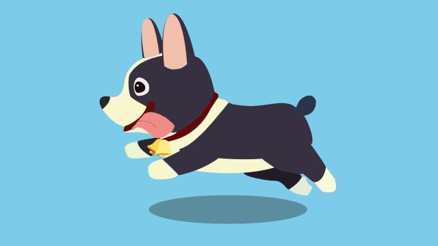 狂犬病致死率100%，这些救命知识一定要早知道！