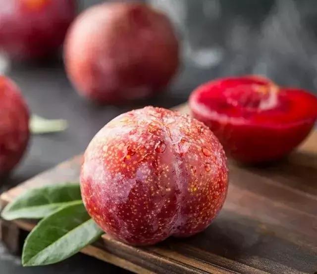 寻味金骏眉茶,寻味白牡丹老白茶