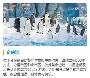 珠海海洋王国性价比最高的酒店,珠海海洋王国几家酒店