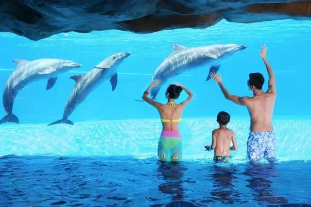 珠海海洋王国性价比最高的酒店,珠海海洋王国几家酒店