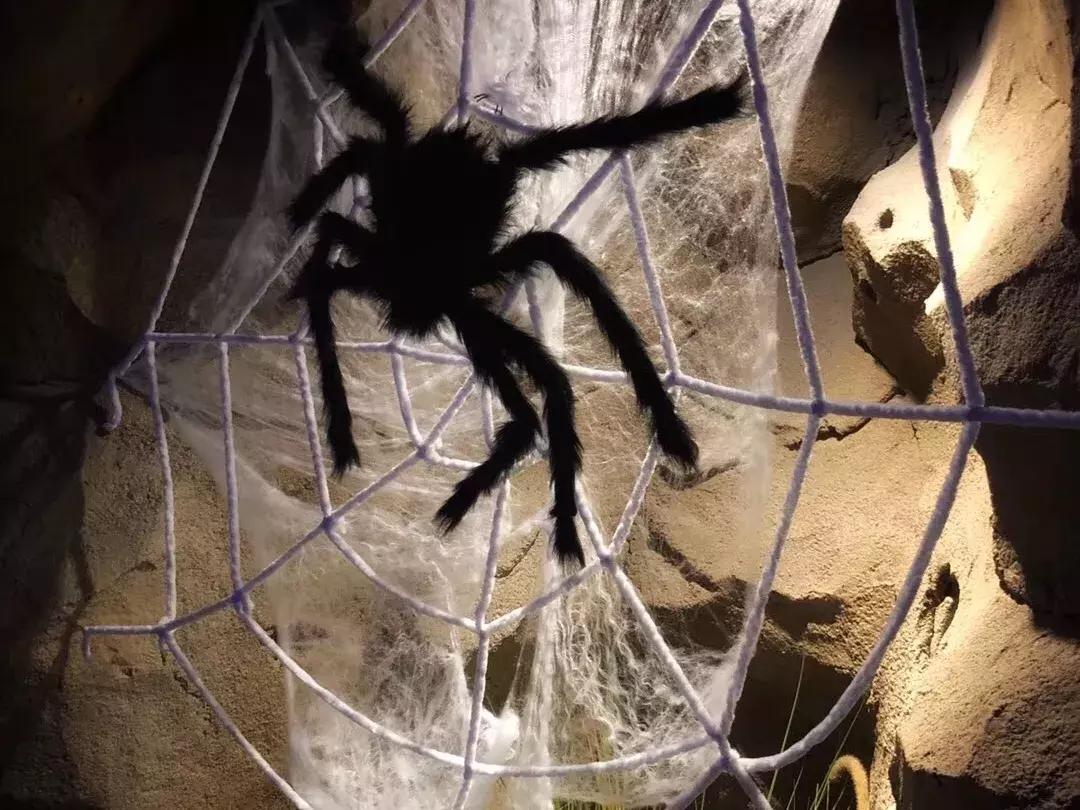 情怀总被烂梗消费,网红串串店长沙