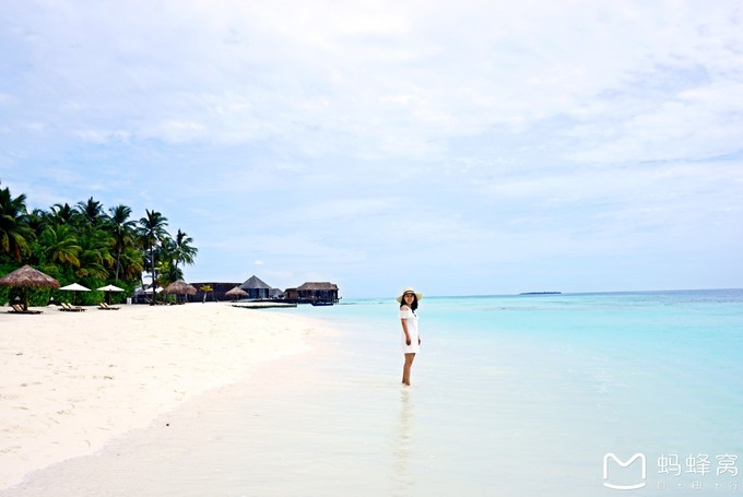 马尔代夫蝴蝶岛,马尔代夫港丽岛属于几星岛