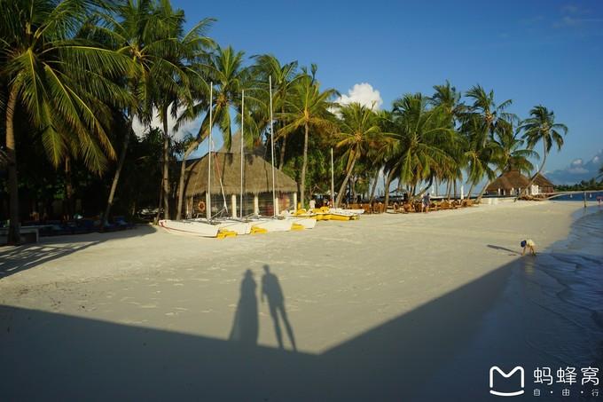 马尔代夫蝴蝶岛,马尔代夫港丽岛属于几星岛