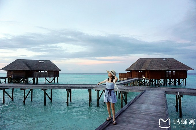 马尔代夫蝴蝶岛,马尔代夫港丽岛属于几星岛