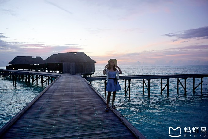 马尔代夫蝴蝶岛,马尔代夫港丽岛属于几星岛