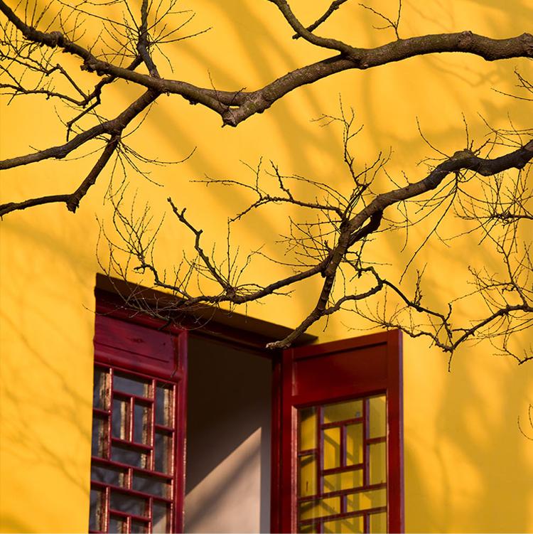 首愚法师,首愚法师准提仪轨