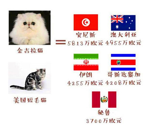 世界杯球队和猫咪的身价对比，关于中国队的象征，那可是无价之宝