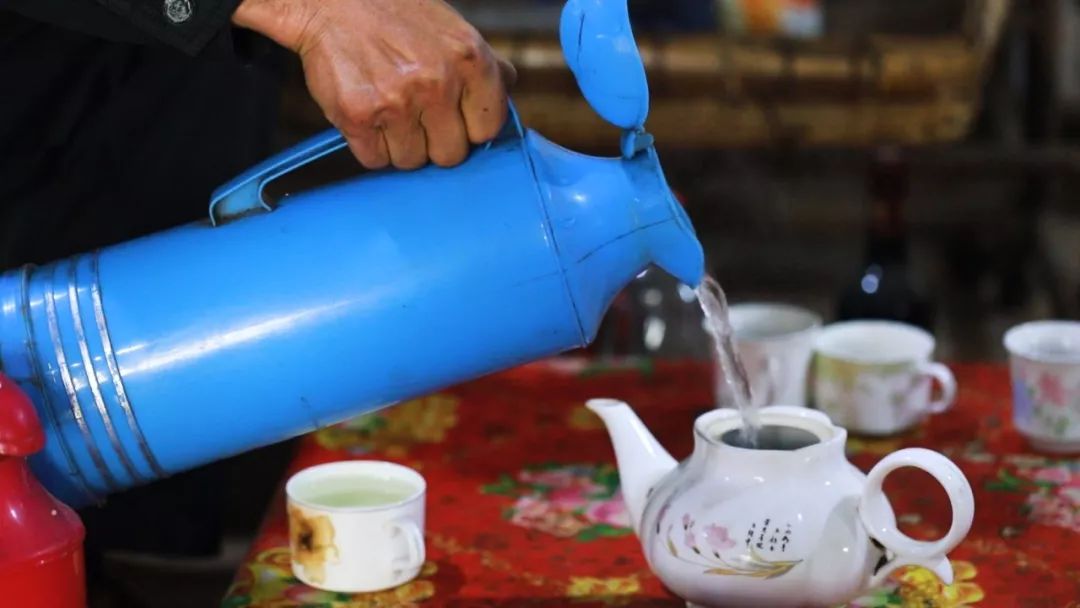 崂山绿茶是什么茶类型的茶,崂山绿茶和野生茶有什么区别