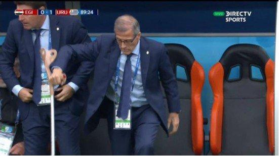 世界杯最温馨的瞬间,世界杯哪些催泪瞬间