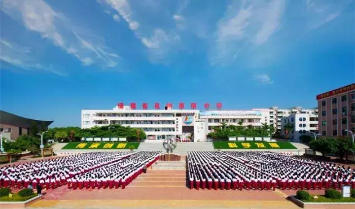 高考放榜广东成绩情况,惠南中学2015年高考