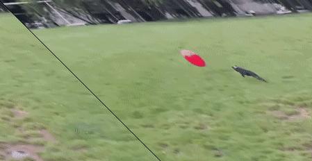 足球场上的搞笑瞬间图片,2022足球搞笑动图