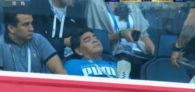 马拉多纳欢呼图片,马拉多纳庆祝动作