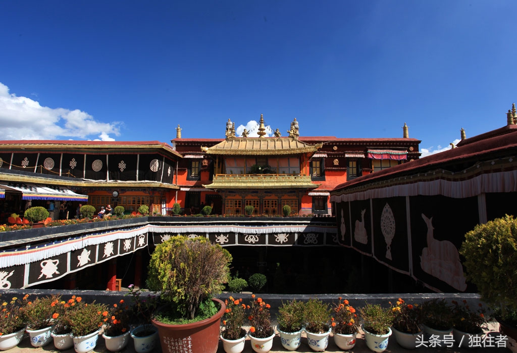 山羊金鹿车轮与千年藏传佛教圣地大昭寺有着怎样的关系