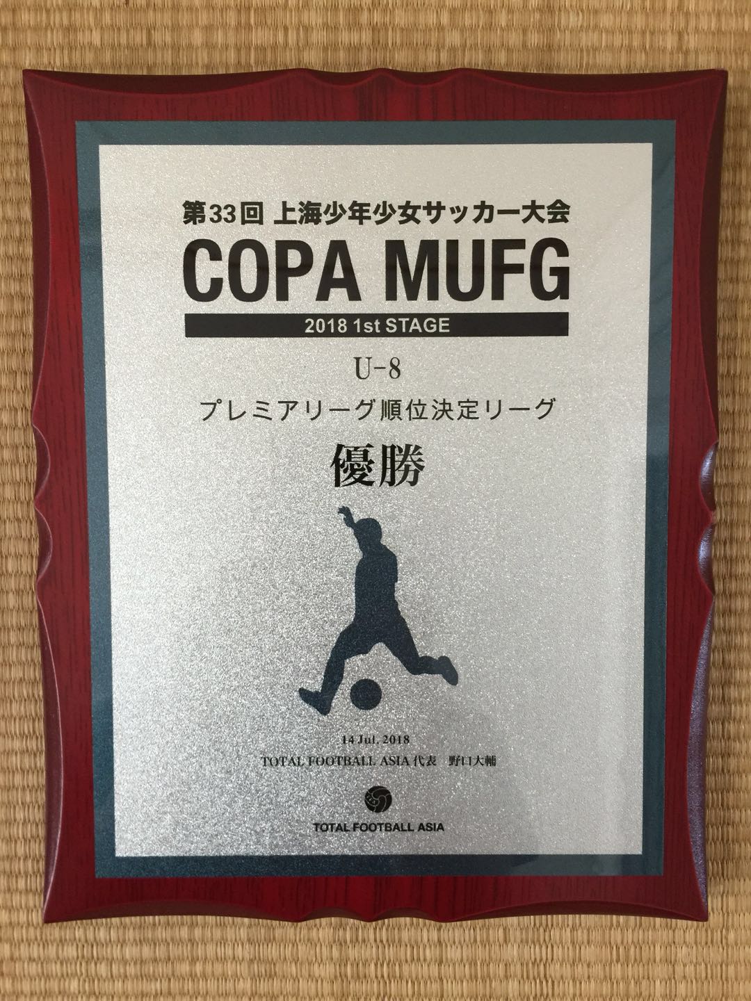 参加足球赛家长有什么好意见,参加足球比赛家长的感悟