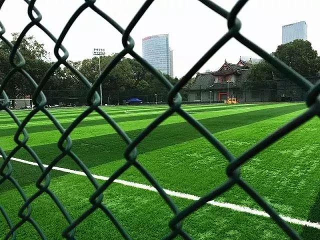 窝家里看世界杯,窝在家看世界杯视频