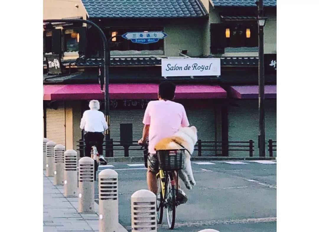 名古屋可以去哪里旅游,名古屋还能去吗