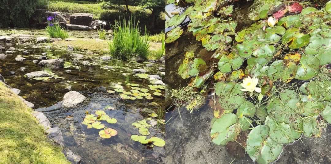 名古屋可以去哪里旅游,名古屋还能去吗