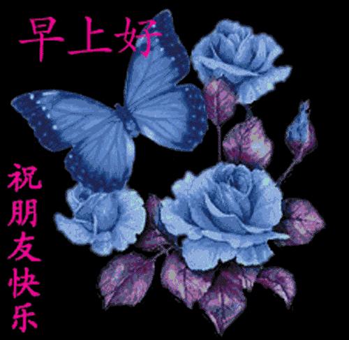 早上好问候语带鲜花表情包,早上好带字图片问候大全