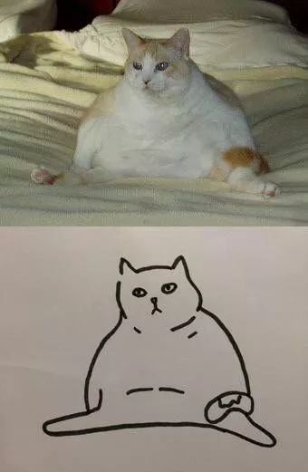 我真的不是想骗你们养猫