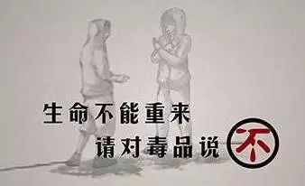 国际禁毒日有自愿戒毒还有什么,国际禁毒日的毒品的危害