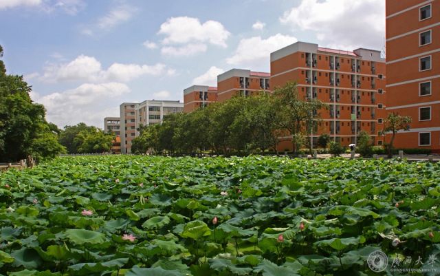 广西高校宿舍大比拼谁家段位最出众