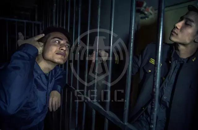 全球只有中国才有的动物,全球唯一的动物