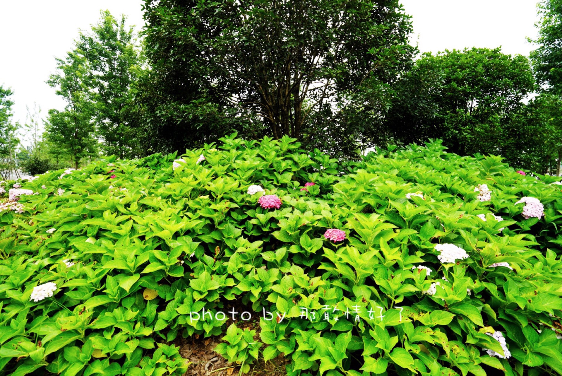 春节滁州小众景区游,滁州人文古城旅游攻略