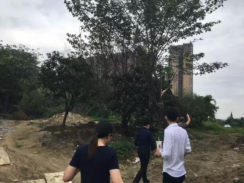 大源探房,城南大源镇最新规划