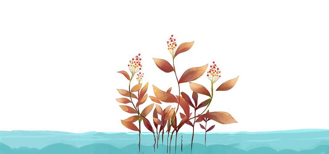 三个理由劝女人不要离婚珍视婚姻,三个离婚女人给女人的忠告