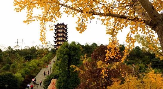 未来辰溪县,下一站溆浦