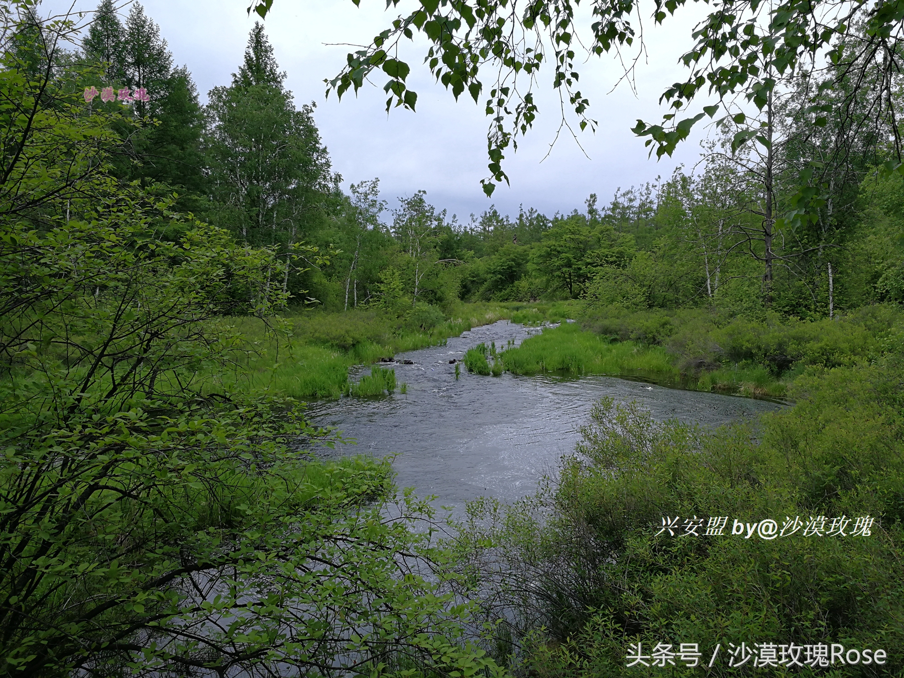 与瑞士齐名的地方,与瑞士媲美的地方