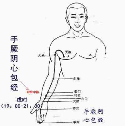 解读十四条经络走向和常用穴位,十四经络正确走向图