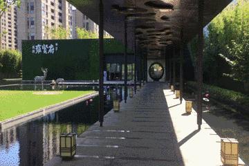 卢俊接受采访,卢俊的全部视频