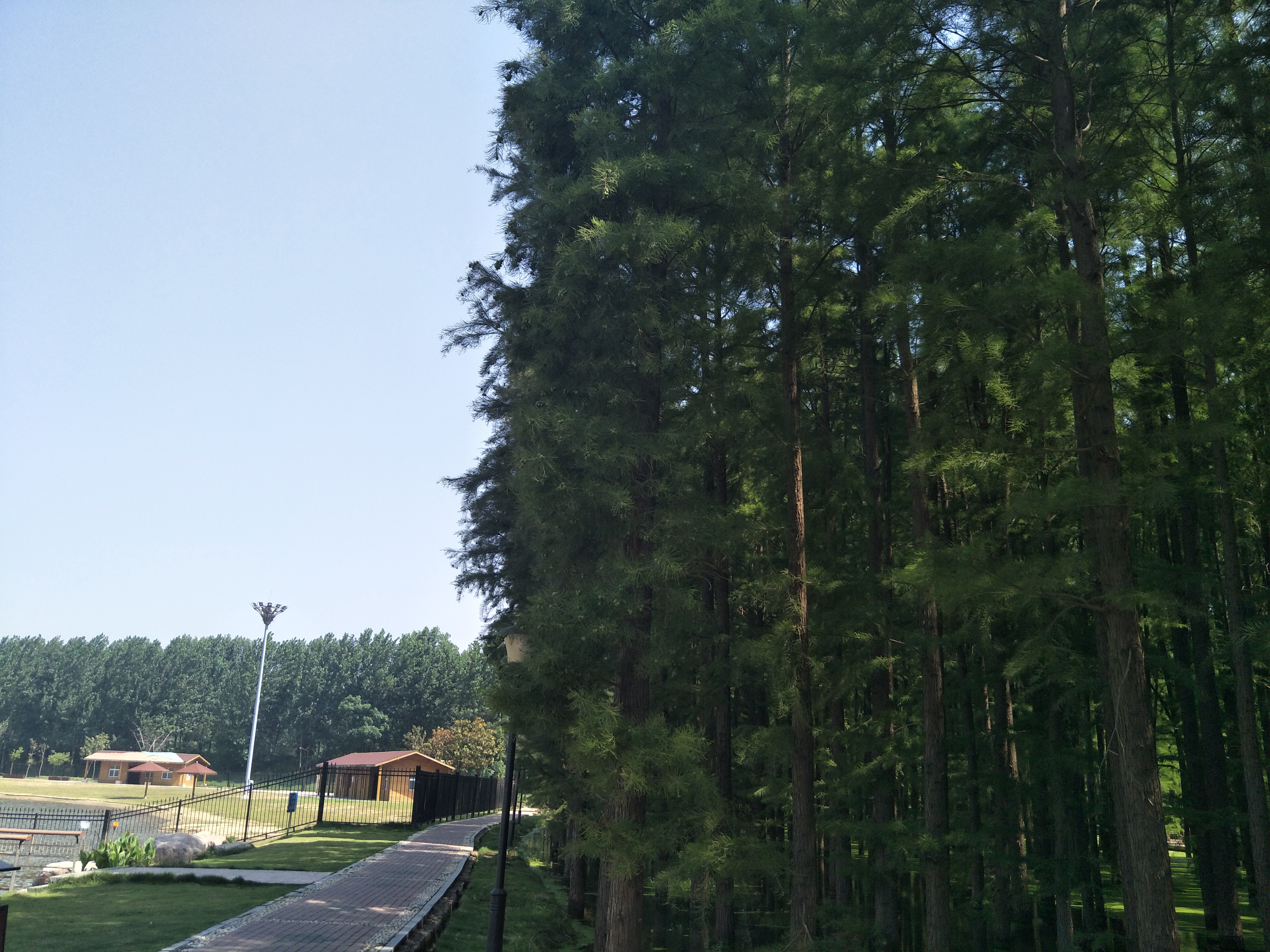 新蔡一个五湖环绕的生态水城,新蔡生态水城宣传片