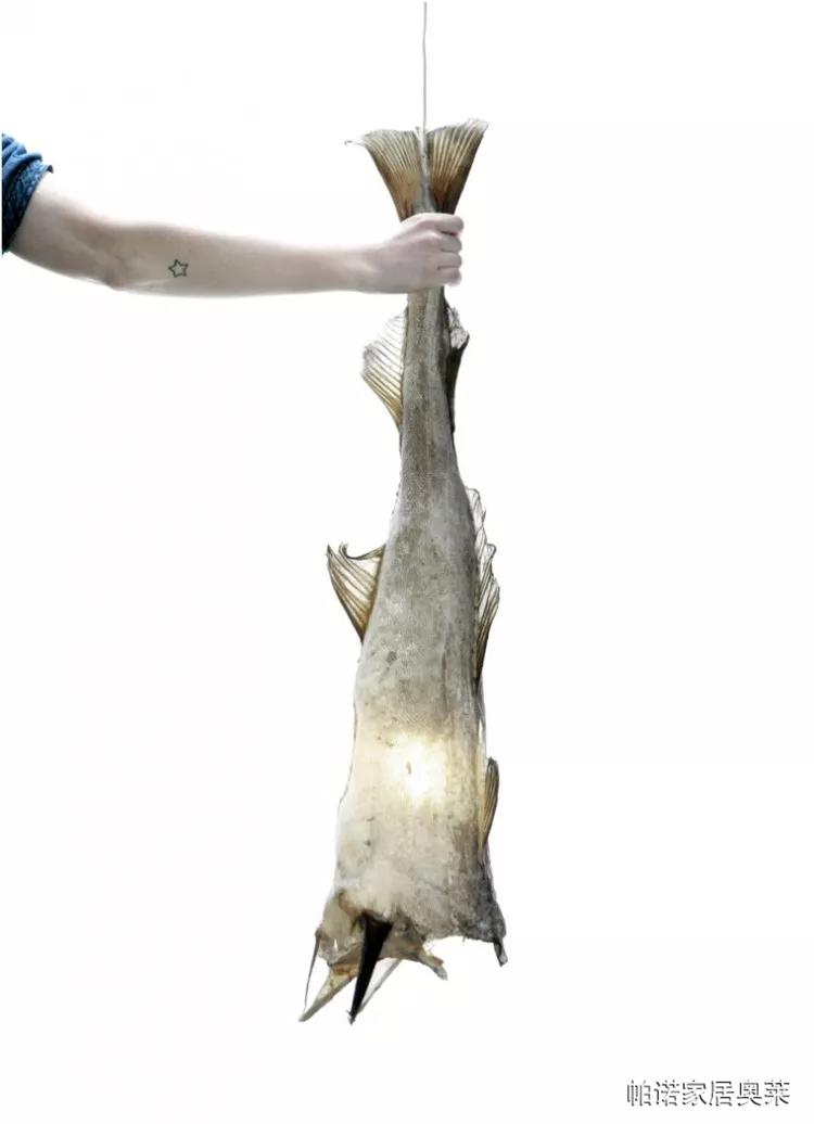 冰岛火,冰岛出名的东西