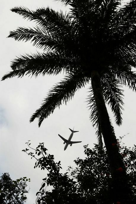 怎么拍摄快速运动物体,运动物体怎么拍摄视频