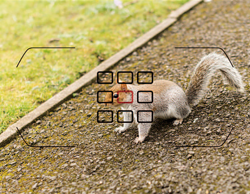 什么是自动调焦模式,什么是自动对焦和手动对焦