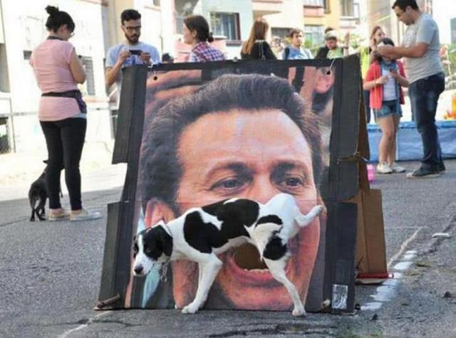 别逗我，我不想笑……符咒演变成这样了？