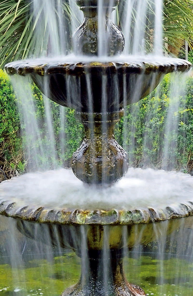 单反入门相机推荐,入门数码单反相机